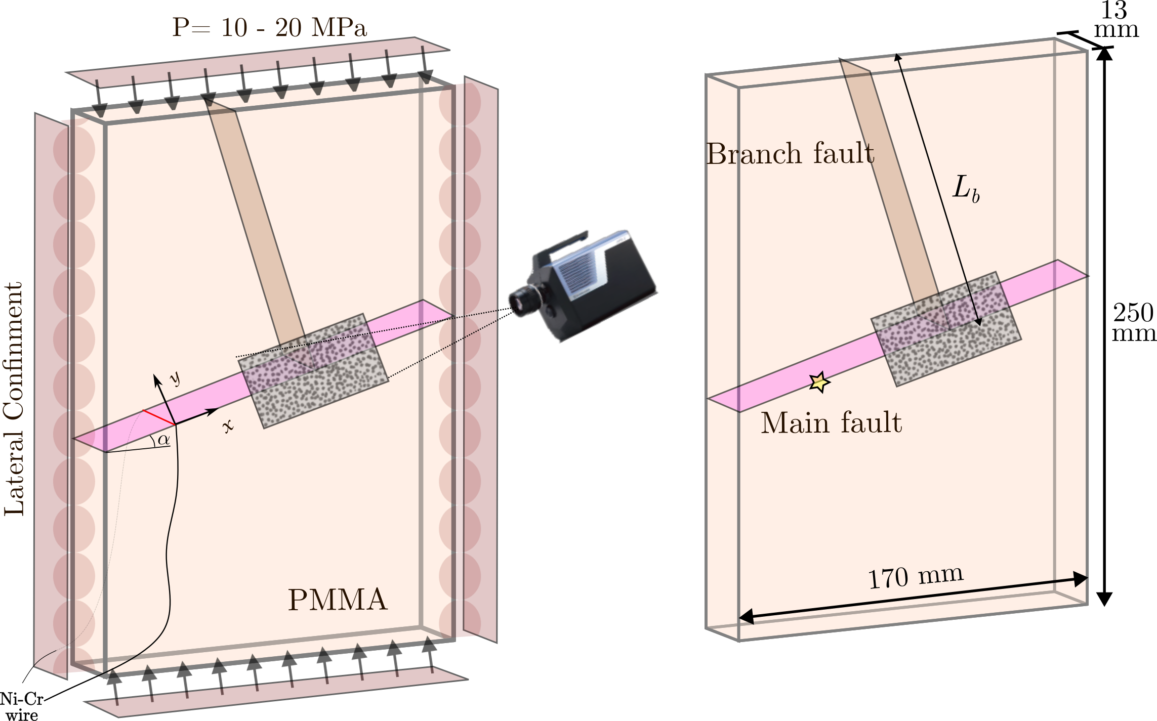 Fault branch specimen